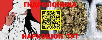 гашик Тулун