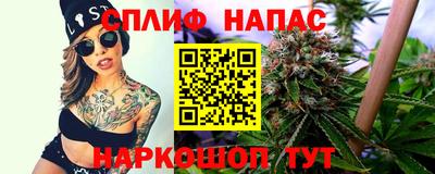 гашик Тулун
