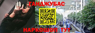 гашик Тулун