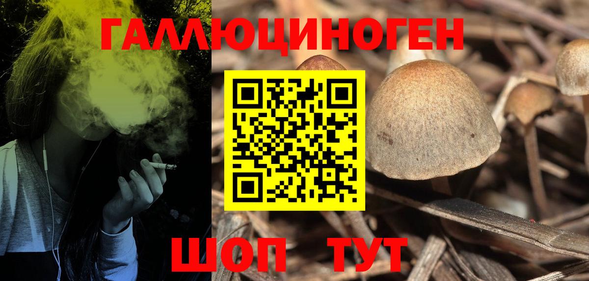 Галлюциногенные грибы Magic Shrooms Протвино